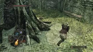 Лес Павших Гигантов 3 Dark Souls 2