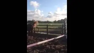Jessie jumping