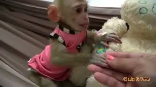 My Little Girl Tota Play In Hammock Alone
