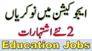 Higher Education Department Punjab Cti Internees Jobs 2021 Male and Female
