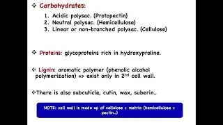 Cell Biology | Ch.3&ndash; Plant Cell
