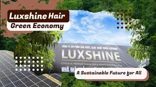 Luxshine Factory Green Economy: A Sustainable Future for All