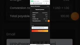 nowpayments payment check