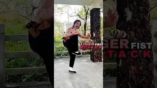 EAGLE CLAW Kicks / Claw Punches - Tiger-Fist Kung Fu Explosion 🐯🥋