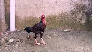 ⁠