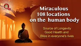 Miraculous 108 locations  on the  human body by Veni