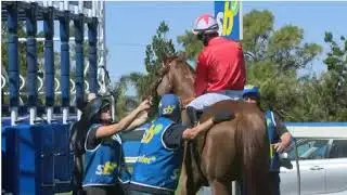 Morphettville  R7 - 14 FEB 2026