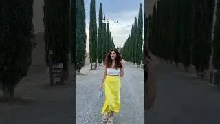 The famous cypress trees in Tuscany Italy 🇮🇹