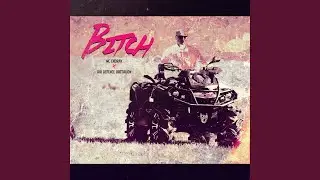 Bitch