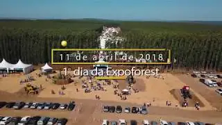 Timber na Expoforest 2018