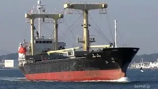 SUN VIEW - SUN ACE SHIPPING general cargo ship