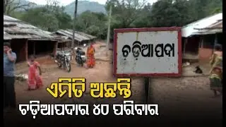 Odisha's Housing Schemes Yet To Reach These Forest Dwellers