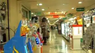 SDC12488