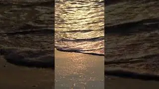 🏝️ Ocean Waves At Sunset | Relaxing Nature Sounds For Stress Relief!