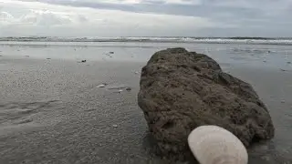 OIB BEACH TRIP 2021