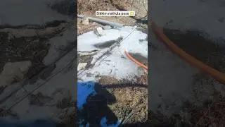 Sikkim nathula pass 🫶❤️ #trendingvideo #vairalshorts