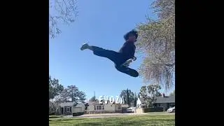 Cobra Kai cast kicks vs Brandon H Lee&rsquo;s kicks ☠️🔥
