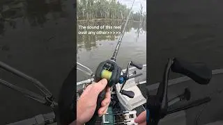 Shimano - SLX DC 150 HG best baitcaster out there #fishinglife #murrayriver @ShimanoAustralia