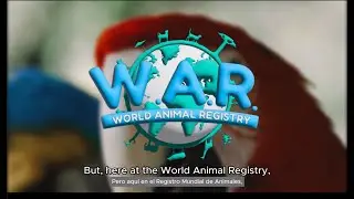 A Symphony of Wildlife Conservation