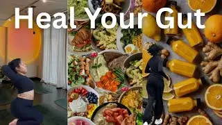 How I Healed My Gut Naturally (H. Pylori, Inflammation & Acid Reflux Recovery)