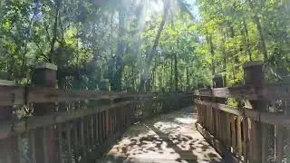 Walking test using hohem iSteady Pro 4 3-Axis Gimbal in Celebration Fl