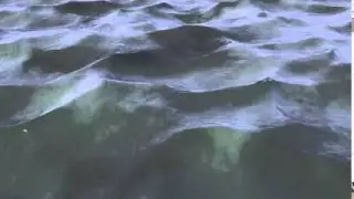 Water Test - Hot4D