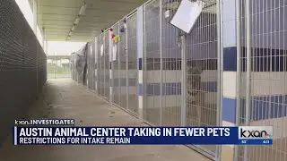 Austin&rsquo;s animal shelter took in thousands fewer pets last year, so why is intake restricted?