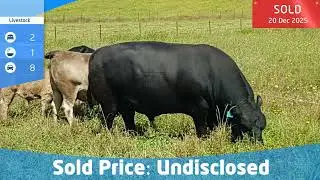 3924 Hume Highway, Tarcutta NSW 2652 - Property Sold By Owner - noagentproperty.com.au