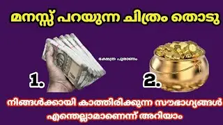 നിങ്ങൾക്ക് വരാൻ പോകുന്ന സൗഭാഗ്യങ്ങൾ ഇതാണ്. Thodukuri. jyothisham Malayalam