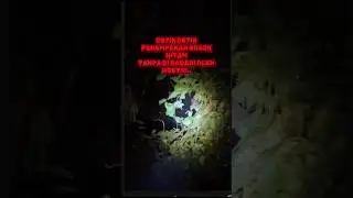 SOSOK GENDOROWO DI JEMBATAN SEUNAPET ACEH BESAR #fypシ゚viral #horror #mistis #angker #fypp