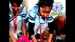 Environmental day program at TRAC Ajman