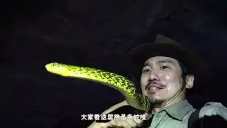 The Mystery of the Hanging Coffin in Longhu Mountain, Jiangxi Province, #10DaysChallenge