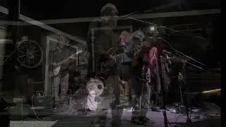 3 Legged Dog - Find the Cost/Ohio