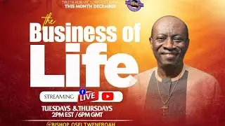 THE BUSINESS OF LIFE