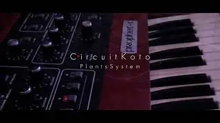 PlantsSystem-CircuitKoto
