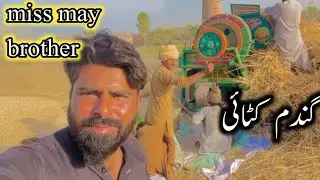 gandom price 2025 today / Pakistan vlog video 🥳/ life style