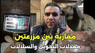 اول مقارنة بين مزرعتين في معدلات التحويل مع سلالات الارانب حلقة فيها فوائد كثيرة