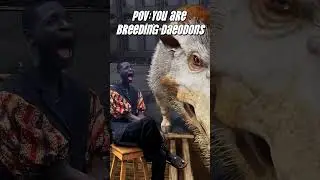 Never breeding Daeodons with other dinos again!