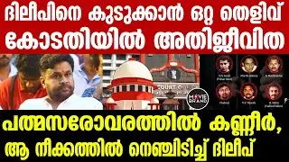 dileep , actress case |  വിചാരണ കോടതിക്കും ജഡ്ജിക്കുമെതിരെ