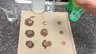 Penny Lab