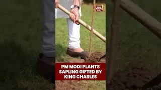 PM Modi Plants Kadamb Sapling Gifted By UK's King Charles 7 Lok Kalyan Marg | India-UK | India Today