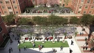 The Village Rises
