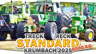Trecker Treck - Deutz DX Agrostar unbesiegbar? MB trac, Fendt & IHC beim 𝟲𝗧 𝗦𝗧𝗔𝗡𝗗𝗔𝗥𝗗 ► Krumbach 2025
