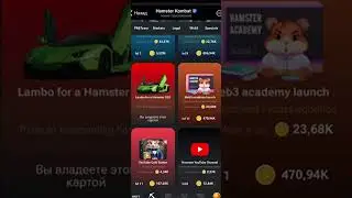 Все Квесты: Комбо дня. Hamser Kombat 30 июля - 1 августа #crypto #hamsterkombat