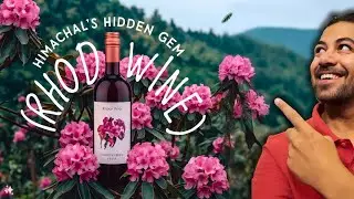 Panning to go to himachal? Try this - Rhodo Wine (Review and Price)