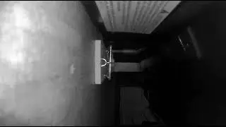 Brutal mouse trap kill