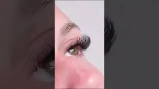 CC+D Curl Mix! 😇