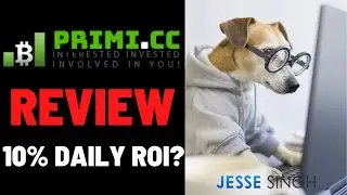 Primi.CC review - Wow A Legit New Hyip Site 10% Daily ROI or Huge Ponzi Scam?