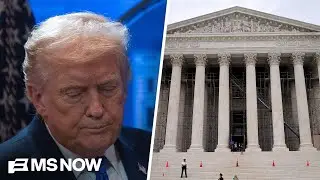 SCOTUS tariff decision is &lsquo;political GOLD&rsquo; for Democrats against Trump: Strategist