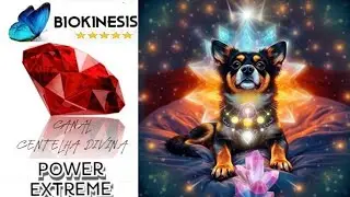 CURA PARA PETS | LIBERAR ANG&Uacute;STIAS, MEDOS, COMPORTAMENTOS EMOCIONAIS NOCIVOS| SONS BINAURAIS | 432Hz